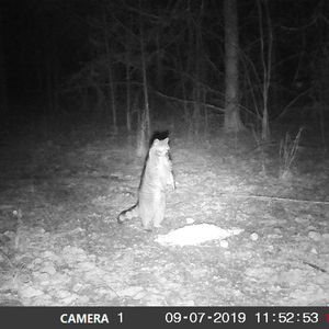 Meet your Posher, William